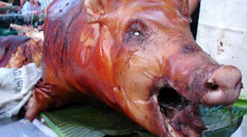 Zorla domuz etine 10 bin Euro!