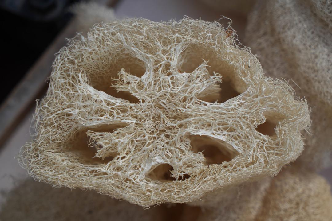 Tam bir sel&uuml;lit d&uuml;şmanı! Hem mutfakta hem de kişisel bakımda kadınların g&ouml;zdesi