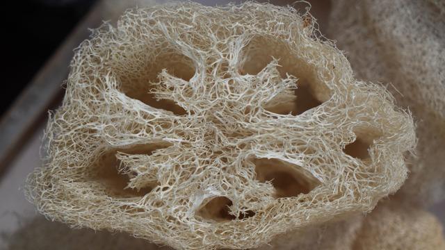 Tam bir selülit düşmanı! Hem mutfakta hem de kişisel bakımda kadınların gözdesi