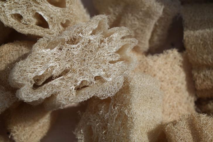 Tam bir selülit düşmanı! Hem mutfakta hem de kişisel bakımda kadınların gözdesi G3