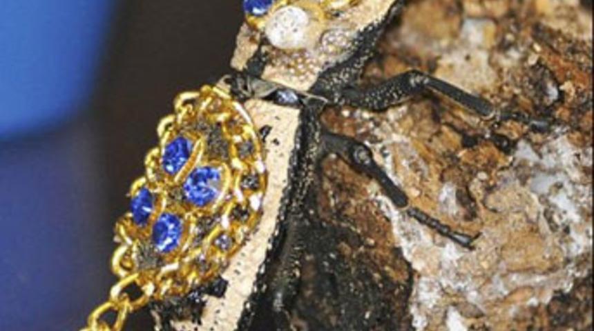 Taşlarla süslenen canlı böcekten broş!