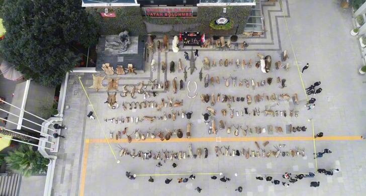 İstanbul'daki kaçak hayvan müzesi şaşkına çevirdi! Anadolu Kaplanı, çizgili geyik, kutup ayısı, timsah, leopar, siyah kurt... G1