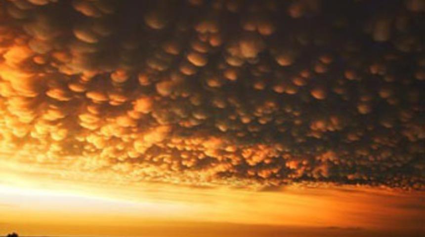 '2050 felaket yılı olacak'