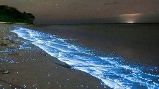 Parlak mavi dalgaların sırrı çözüldü