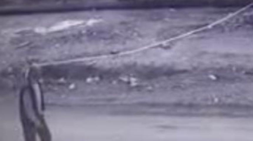 Neye uğradığını şaşırdı!