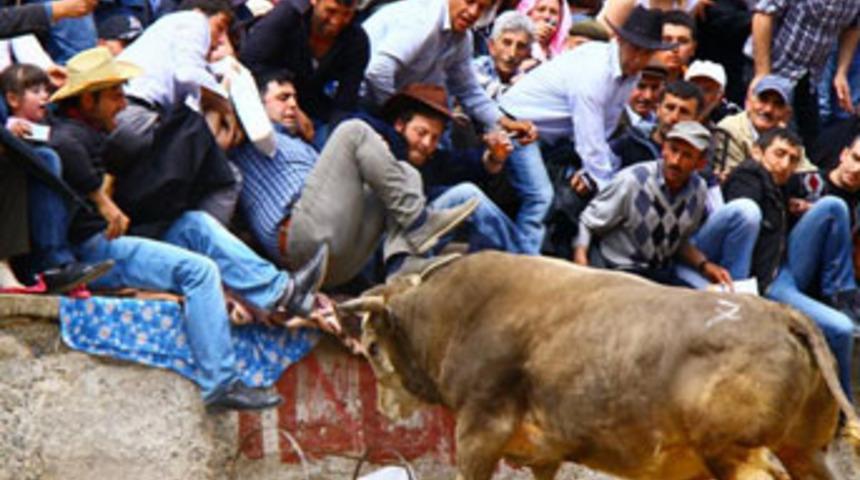 İspanya değil, Artvin!