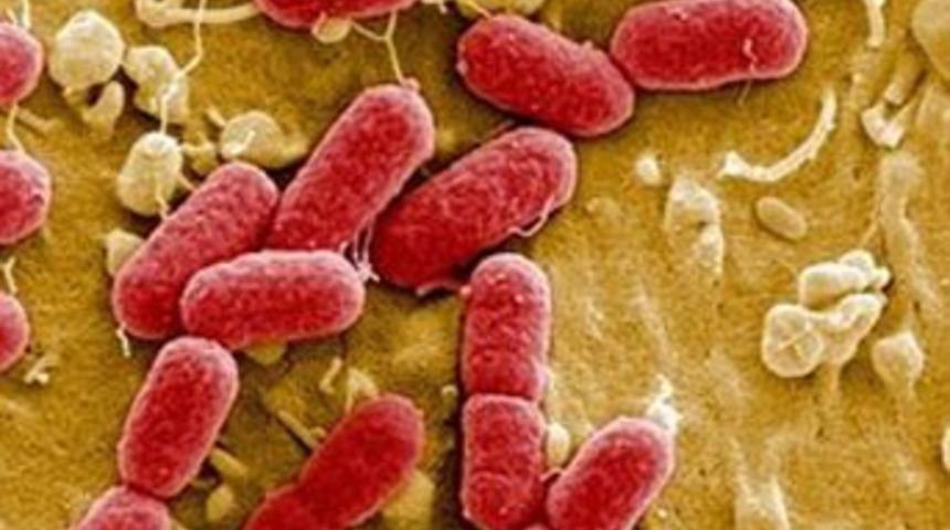 "Modern tıbbın sonunu getirebilirler"