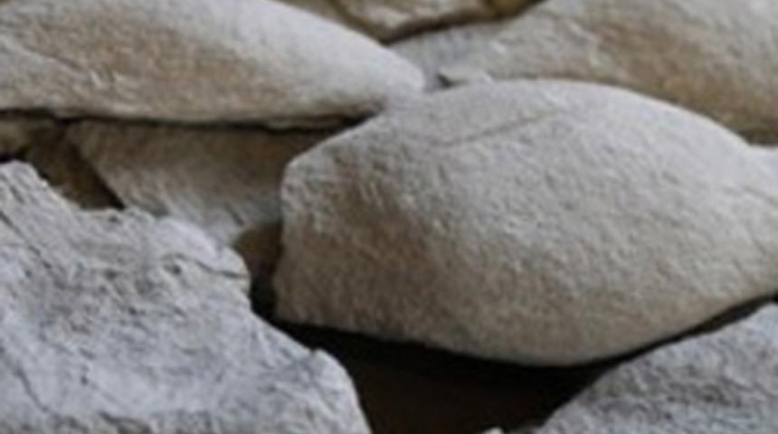 Bilim dünyasını şoke eden esrarengiz canlı