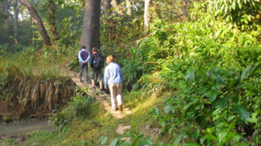 Ormana adım atmak bile artık parayla!