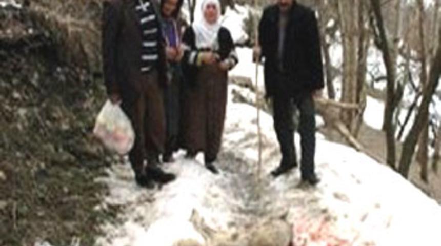 Kurdun başını taşla ezerek &ouml;ld&uuml;rd&uuml;