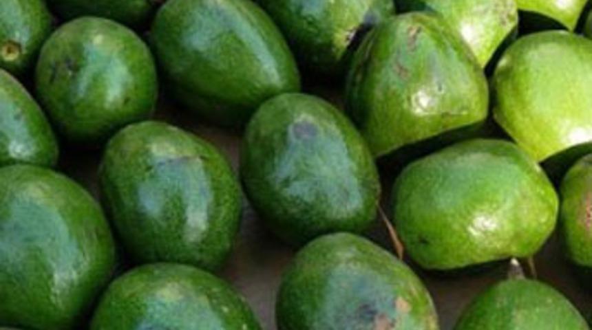 Avokado her derde deva