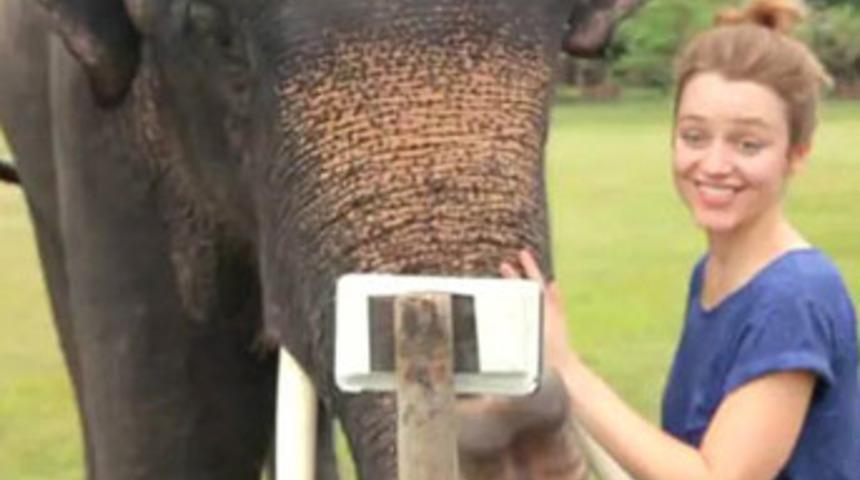 Cep telefonu kullanan fil