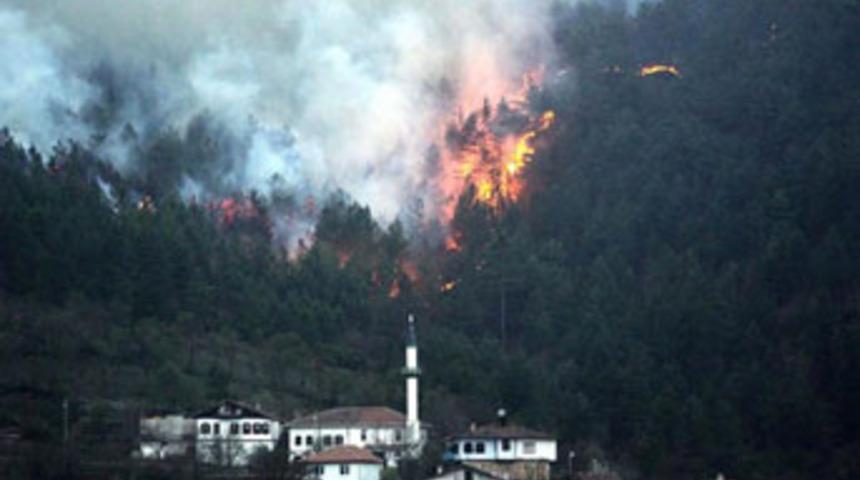 Kızılçam ormanı yanıyor