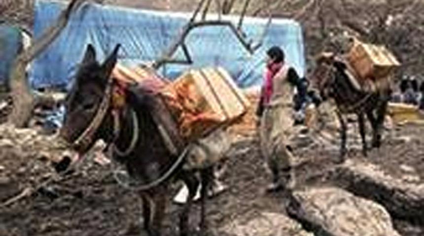 Ka&ccedil;ak&ccedil;ılıkta t&uuml;yler &uuml;rperten PKK rol&uuml;