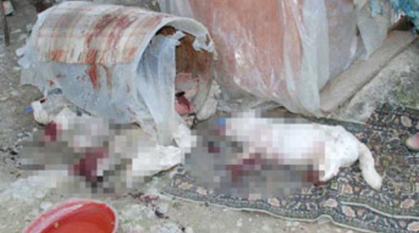 Bunu yapan insan olamaz