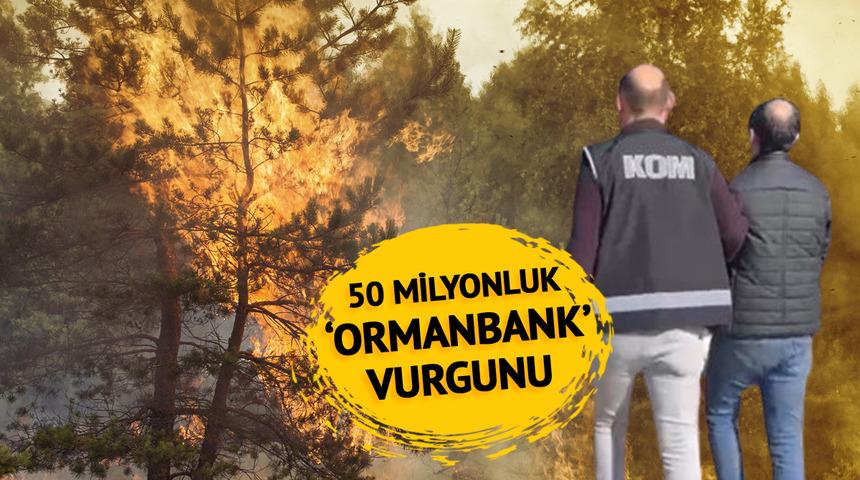 'Ormanbank' vurgunu! Yangında zarar gören orman arazilerini satma vaadi ile 50 milyon lira toplamışlar