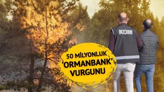 'Ormanbank' vurgunu! Yangında zarar gören orman arazilerini satma vaadi ile 50 milyon lira toplamışlar
