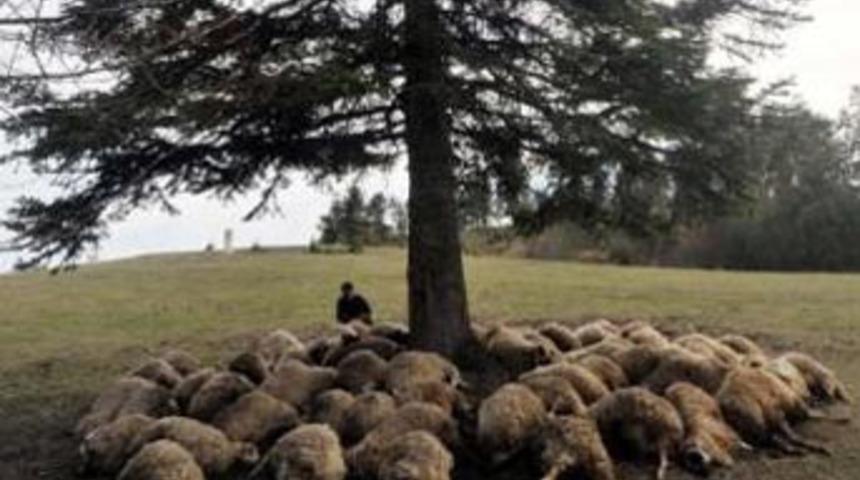 İki kardeşin yaşadığı inanılmaz olay