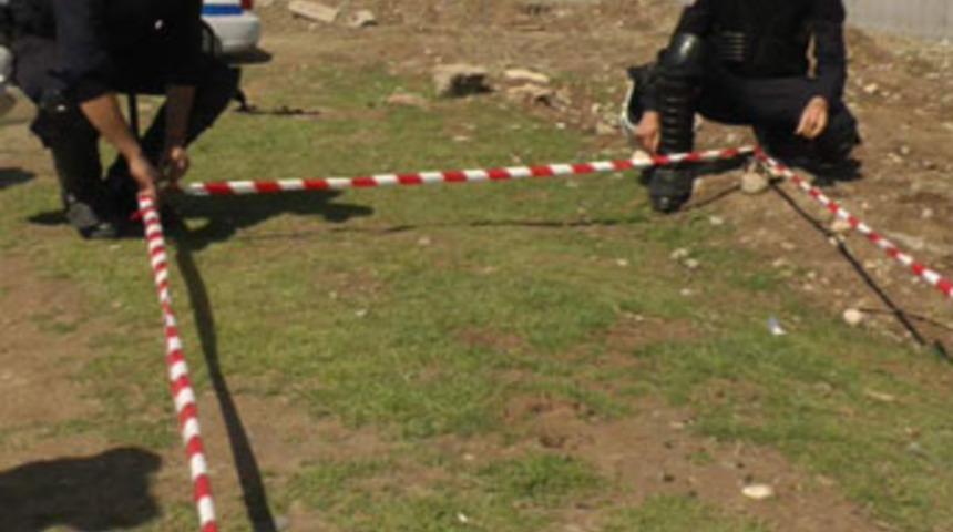 Karıncaya polis koruması!