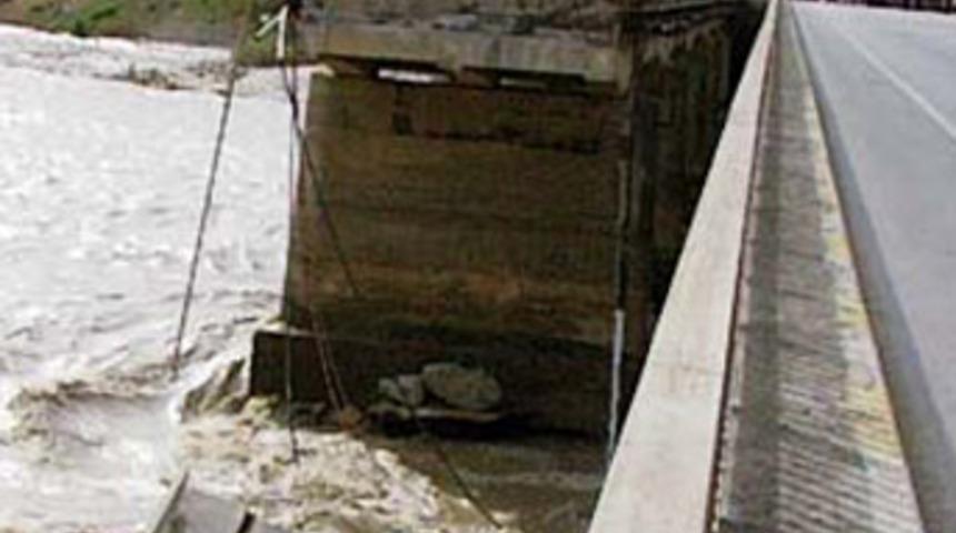 53 gün sonra sahile vurdu