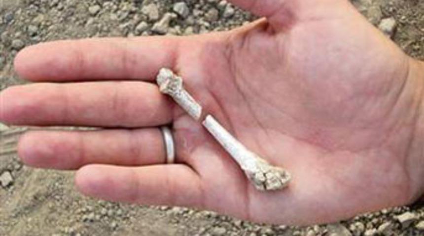 İnsandan 3 milyon yıl önce yürüyorlardı