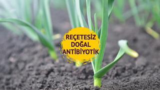 1 tanesi 25 ilaca bedel: Yüksek tansiyonu düşürür, diyabeti önler! Kansere karşı en güçlü kalkan! İşte saymakla bitmeyen faydaları