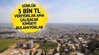 Günlük 3 bin TL... 5 bin kişi arıyorlar! Maaşlara zam üstüne zam yaptılar, yine de çalışacak kimseyi bulamıyorlar