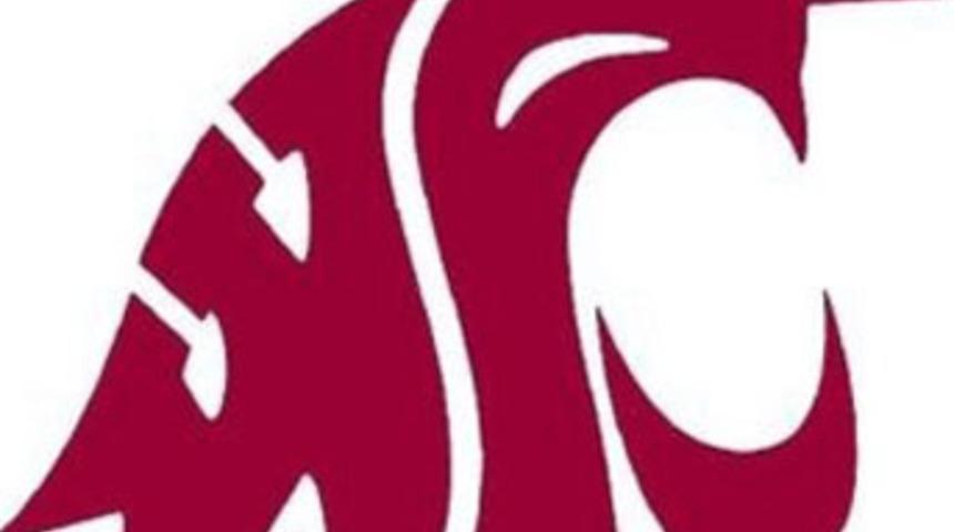 Logolarda gizli anlamlar!