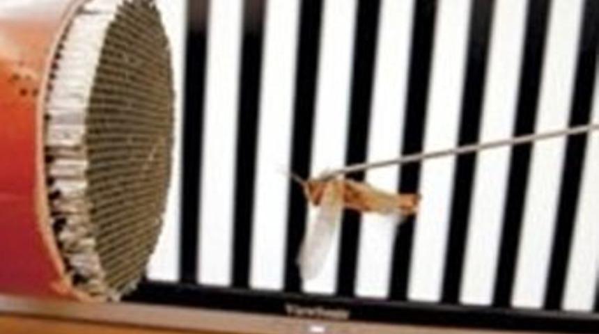 U&ccedil;ak yerine &ccedil;ekirge