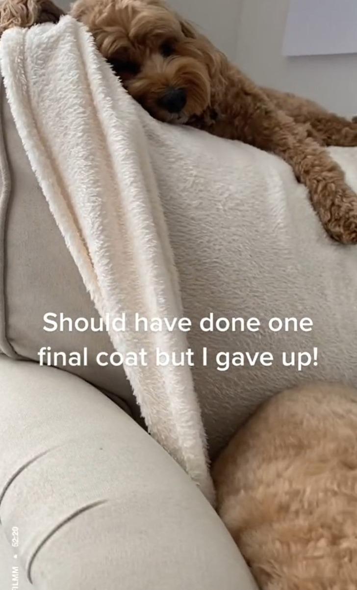 'Beni yeni bir kanepe almaktan kurtardı' Buzdolabı, mutfak dolabı ve tezgahtan sonra... Evini yenilemek isteyenler şimdi de koltuklarını boyuyor! O detaya dikkat G3