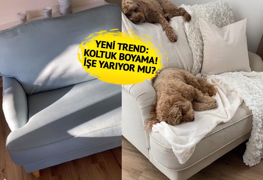'Beni yeni bir kanepe almaktan kurtardı' Buzdolabı, mutfak dolabı ve tezgahtan sonra... Evini yenilemek isteyenler şimdi de koltuklarını boyuyor! O detaya dikkat