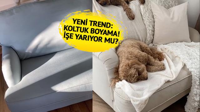 'Beni yeni bir kanepe almaktan kurtardı' Buzdolabı, mutfak dolabı ve tezgahtan sonra... Evini yenilemek isteyenler şimdi de koltuklarını boyuyor! O detaya dikkat