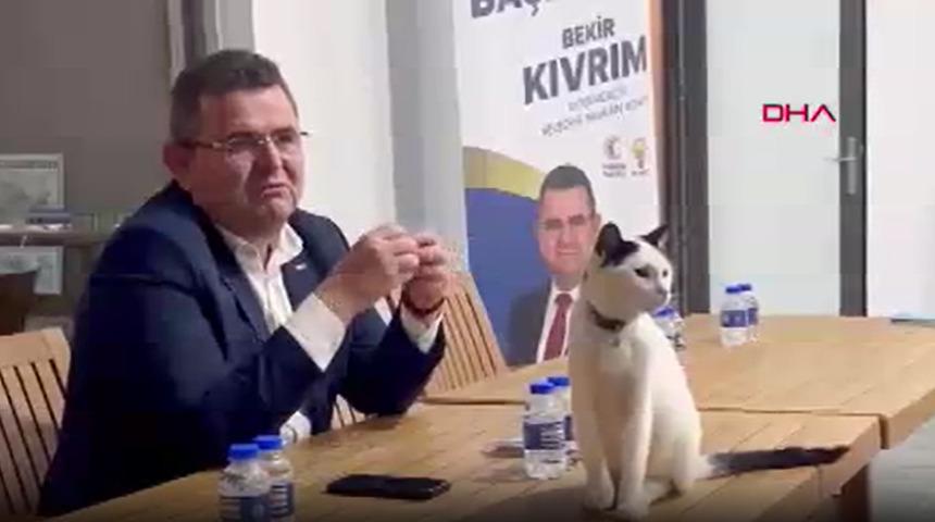 Belediye başkan adayı masasındaki davetsiz misafiri görünce aklına bir projesi daha geldi