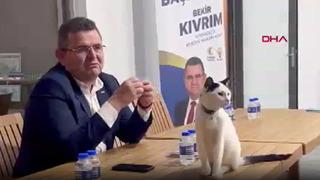 Belediye başkan adayı masasındaki davetsiz misafiri görünce aklına bir projesi daha geldi