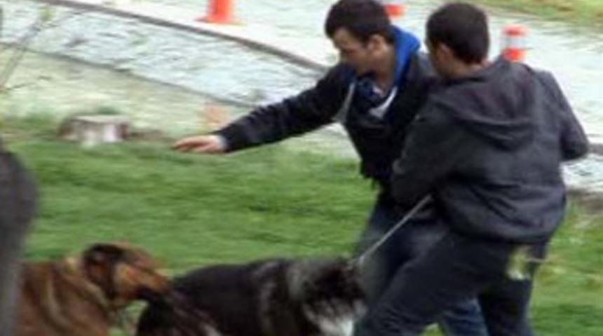 Bursa'nın g&ouml;beğinde vahşet!