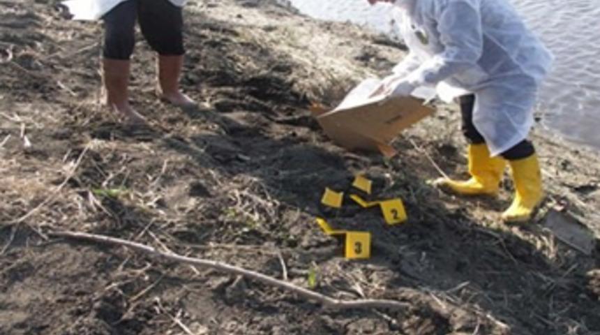 Topraktan altın fışkırdı