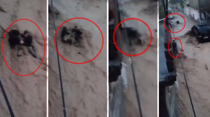 Cizre'de sel felaketi! Can pazarı kamerada: Kendisi kurtuldu, başkasını kurtarmak isterken...