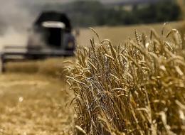 AB'den Rusya ve Belarus kararı: Tahıla uygulanan gümrük vergileri artacak