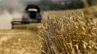 AB'den Rusya ve Belarus kararı: Tahıla uygulanan gümrük vergileri artacak