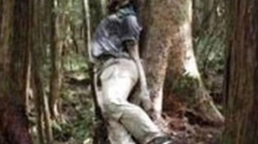 Bu ormanda her yıl en az 100 ceset bulunuyor!