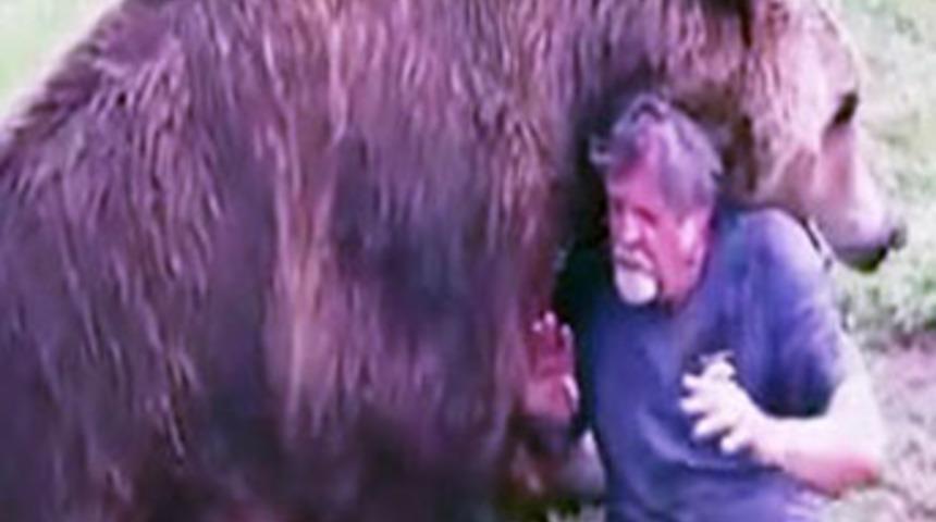 Ayı ile neşeli oyun!