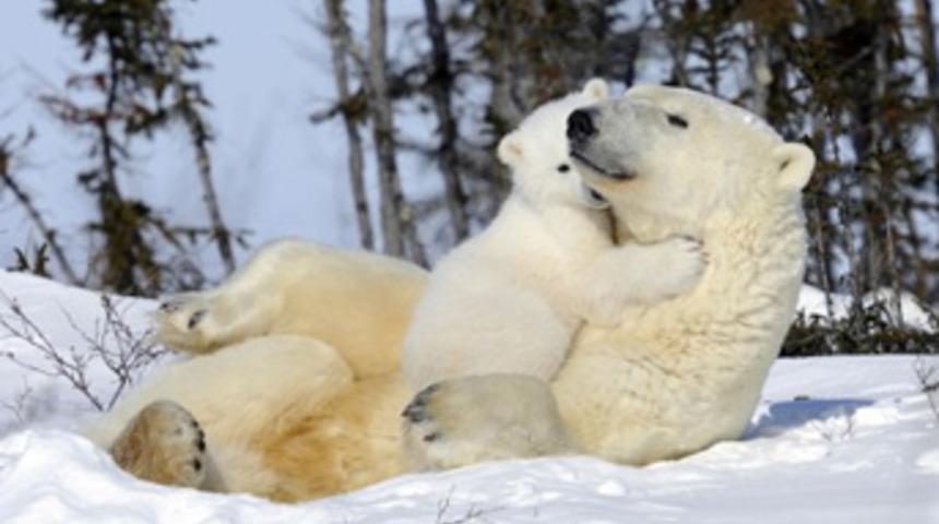 Windows 7&rsquo;ye &ouml;zel Full HD duvar kağıtları!