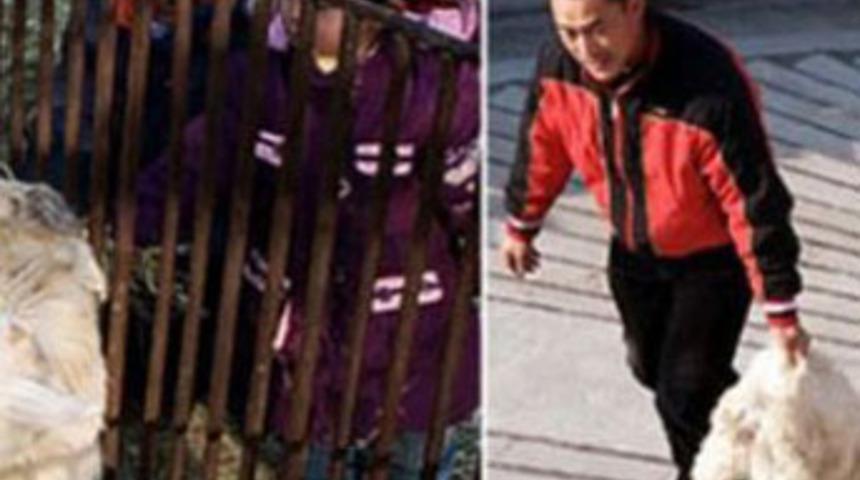 Akılalmaz bir vahşet!