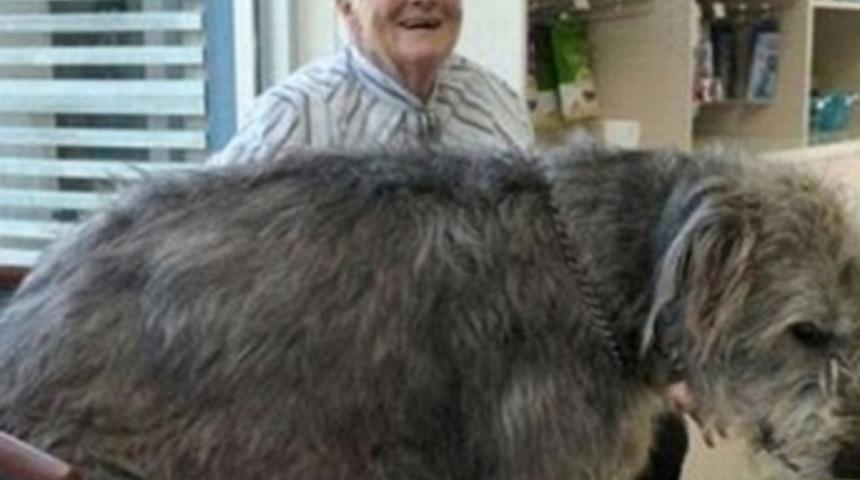 Şaşkına d&ouml;neceksiniz!