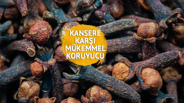 En önemli 5 bitkiden biri: Birçok hastalığı önlüyor, tedavi ediyor! Gıdalara katıldığında bozulmasını engelliyor