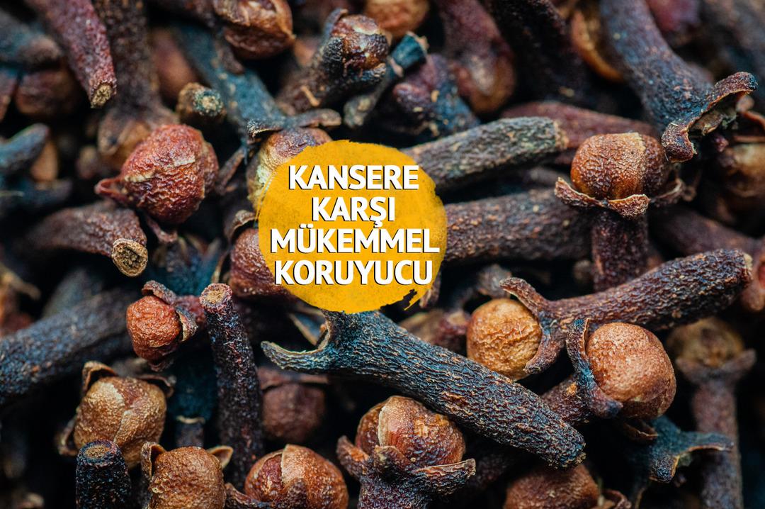 En &ouml;nemli 5 bitkiden biri: Bir&ccedil;ok hastalığı &ouml;nl&uuml;yor, tedavi ediyor! Gıdalara katıldığında bozulmasını engelliyor