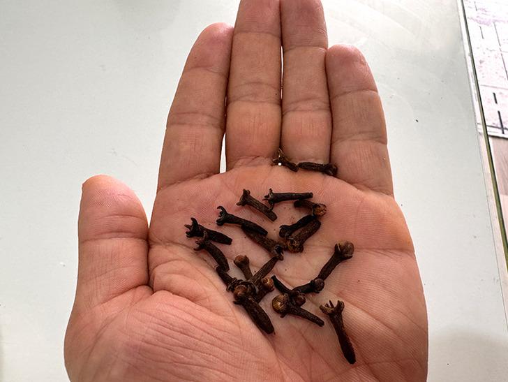 En önemli 5 bitkiden biri: Birçok hastalığı önlüyor, tedavi ediyor! Gıdalara katıldığında bozulmasını engelliyor G1