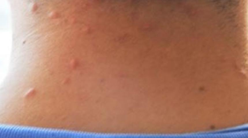 Adalar'a gitmeyi d&uuml;ş&uuml;n&uuml;yorsanız dikkat...