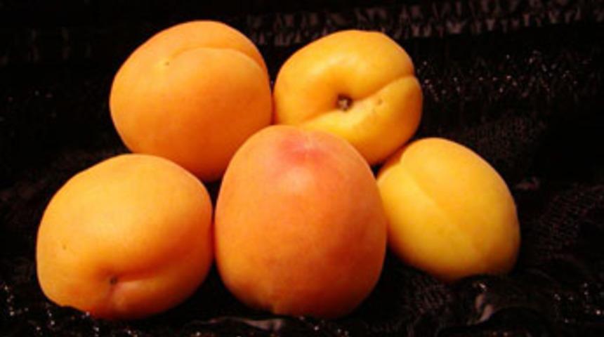 Şimdi de kayısı sahtekarlığı