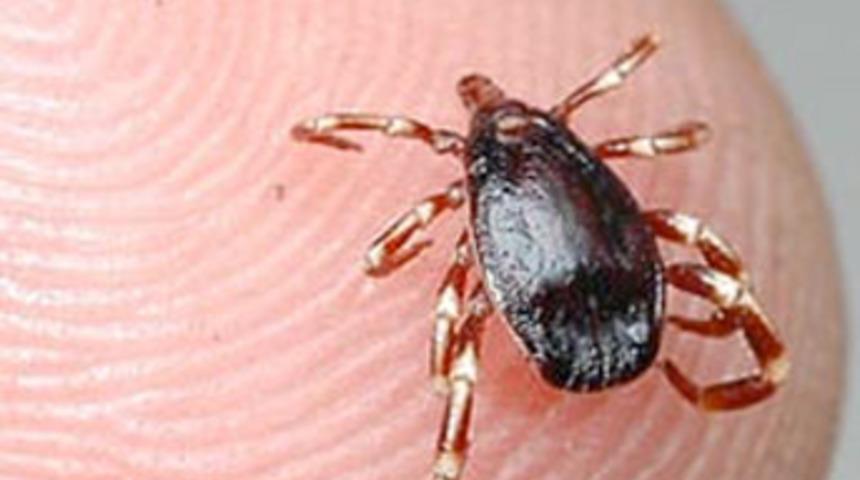 Bu şehirde ilk KKKA vakası